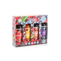 Szörpválogatás Flavin 4x100ml - Bálint Csemegék