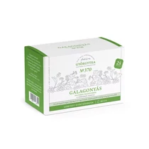 Galagonyás teakeverék NO.370 A vérnyomás barátja 25x1,3g - Györgytea