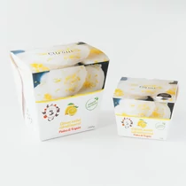 Jégkrém Citrom 120g -ALL IN natural food